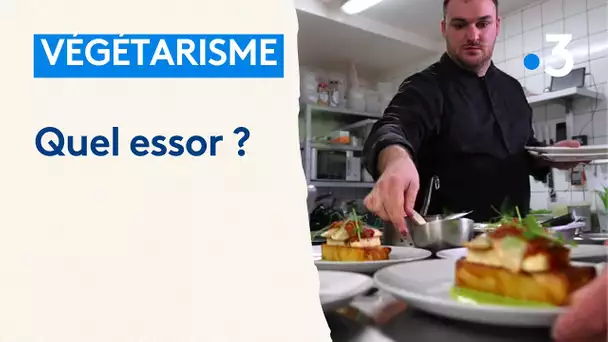 Végétarisme : pas toujours facile de cuisiner des repas sans viande ni poisson