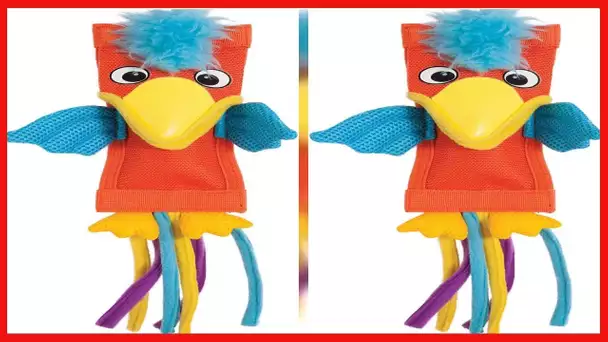 Petmate ZOOBILEE 32018 Firehose Parrot Dog Toy