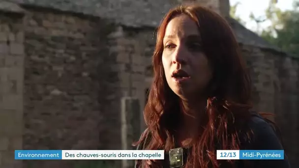 Préservation des chauves souris dans une chapelle en Aveyron