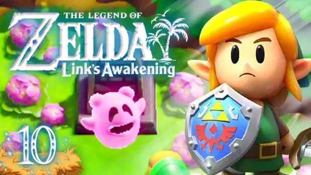 Zelda Link's Awakening HD : Le mystérieux fantôme ! #10