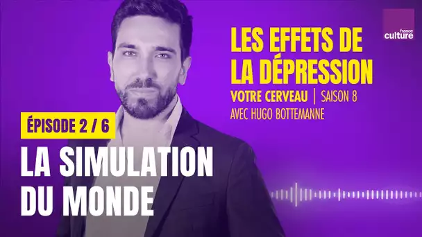 Comment votre cerveau simule le monde (2/6) | Votre cerveau, saison 8