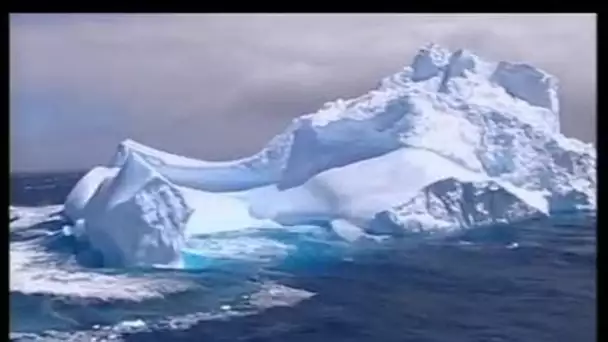 [Tourisme sur icebergs en Nouvelle Zélande]