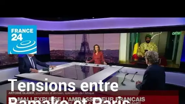 La France "contrainte" de rappeler son ambassadeur au Mali • FRANCE 24