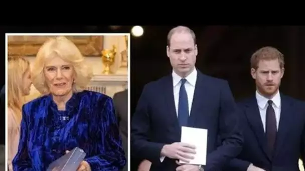 La boutade sauvage de « gin tonic » de Camilla après avoir rencontré William pour la première fois