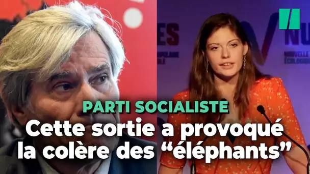 Emma Rafowicz s’en prend aux « éléphants du PS » et s’attire une avalanche de critiques