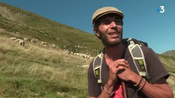 Ariège : le berger qui s'est retrouvé face à une ourse et son ourson témoigne