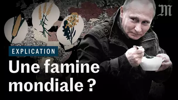 Ukraine-Russie : la guerre peut-elle provoquer une famine mondiale ?