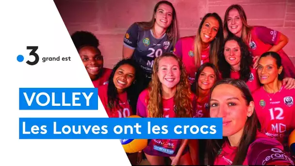 Volley: les Louves de Saint-Dié visent la montée