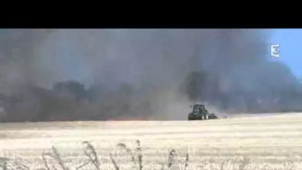 incendie de récoltes près de Mer