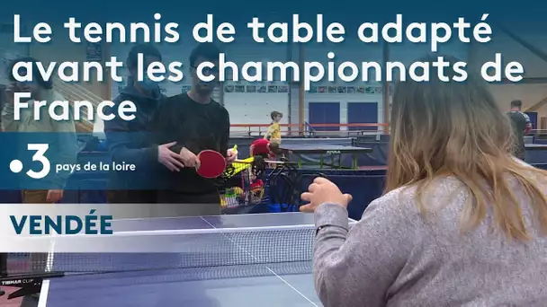 Tennis de table adapté à La Roche sur Yon avant la coupe de France