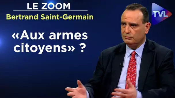 Insécurité : plaidoyer pour le libre accès aux armes - Le Zoom - Bertrand Saint-Germain - TVL