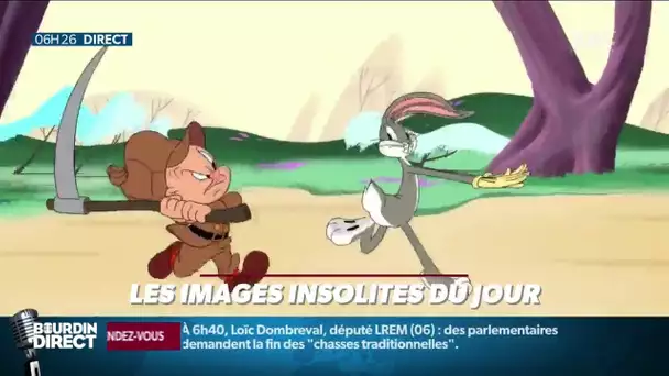 Bugs Bunny ne sera plus chassé au fusil: les dessins animés Looney Tunes bannissent les armes à feu