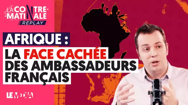 AFRIQUE : LA FACE CACHÉE DES AMBASSADEURS FRANÇAIS