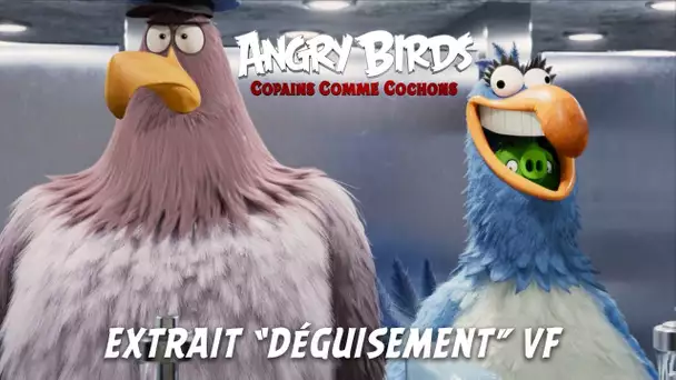 Angry Birds : Copains comme Cochons - Extrait 'Déguisement' - VF