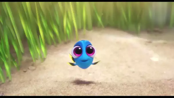 Le Monde de Dory - Extrait : Bébé Dory I Disney