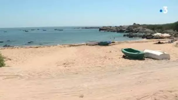 Ile d'Yeu : la plage de la Pointe des Corbeaux