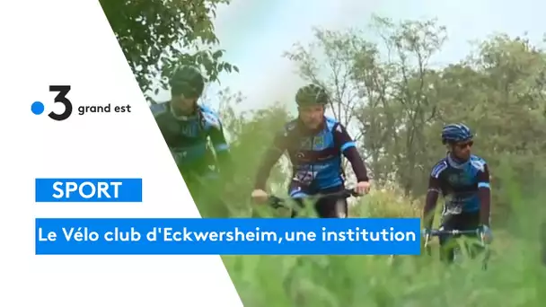 La belle histoire du Vélo club d'Eckwersheim, une institution dans le domaine du cyclisme
