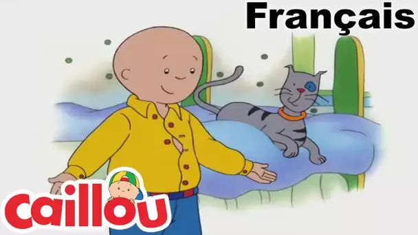 Caillou en FRANÇAIS: Docteur Caillou | conte pour enfant | Caillou en Français