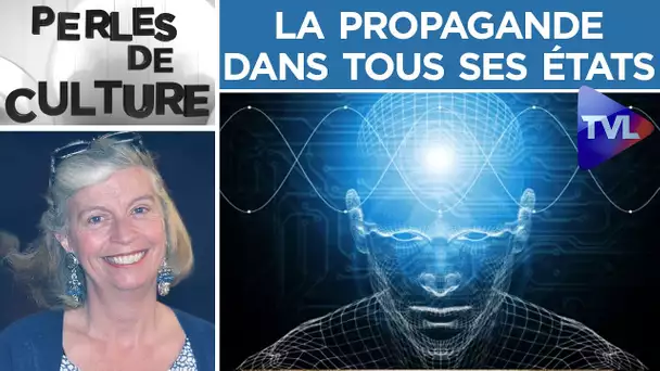 La propagande dans tous ses états - Perles de Culture n°246 - TVL