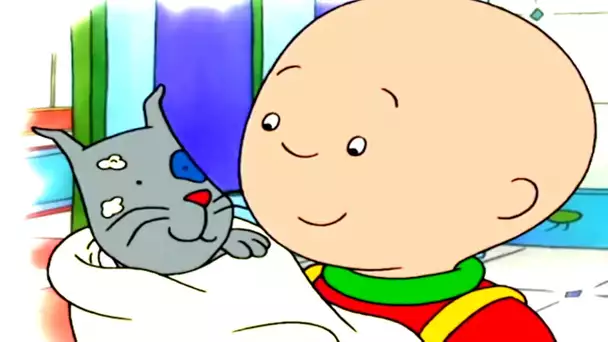 Caillou fait du baby-sitting | Caillou en Français