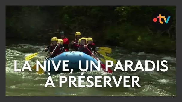 La Nive, un petit paradis préservé