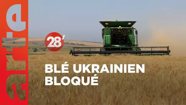 Les céréales bloquées en Ukraine : un risque de famine dans les prochains mois ? - 28 Minutes - ARTE