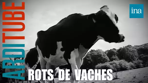 Info / Intox : Les rots de vaches responsables de l'effet de serre ? | INA Arditube