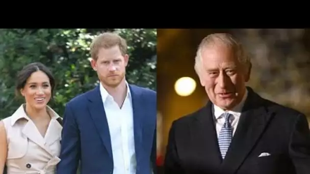 Le prince Harry et Meghan Markle ont convaincu la famille royale d'être à l'origine d'une vendetta