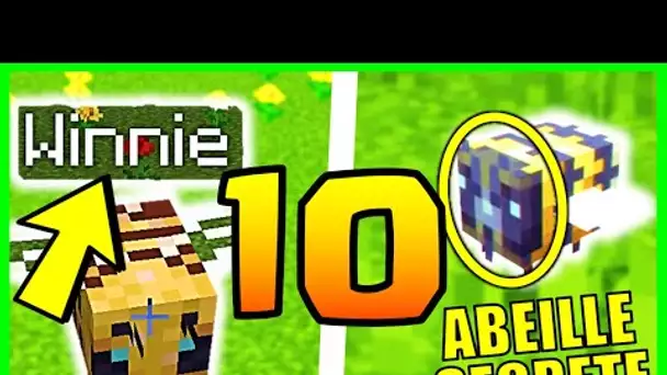 10 SECRETS ✨MAGIQUES✨ SUR L'ABEILLE MINECRAFT 1.17