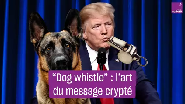 "Dog whistle", ces messages cryptés qui ont contaminé la politique