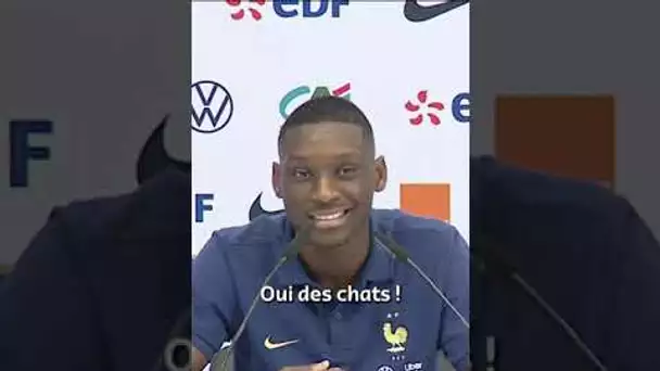 🏆🇫🇷🗨️ Randal Kolo Muani révèle qu'Ousmane Dembélé à peur... des chats ! 😹😹