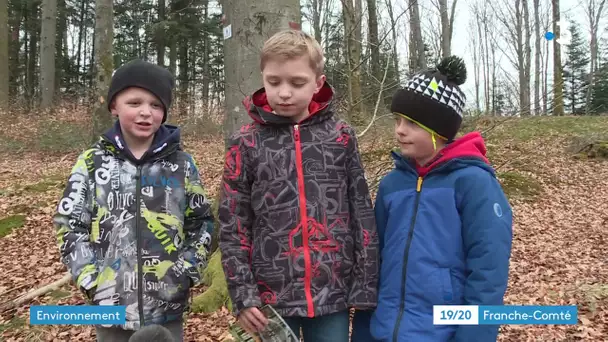 Journée internationale des forêts