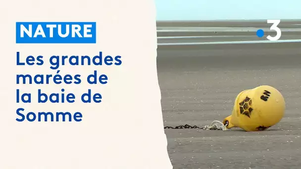 Les grandes marées en baie de Somme, un phénomène naturel impressionnant