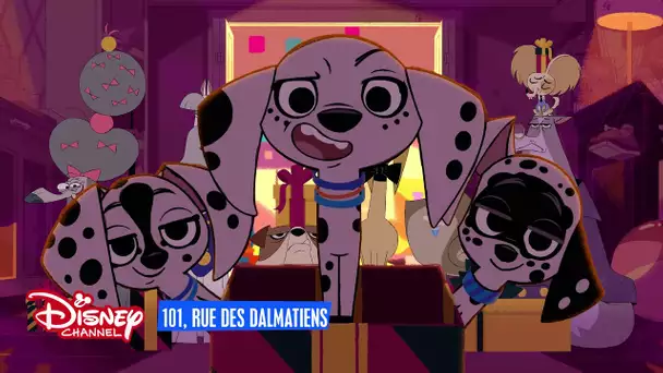 101, rue des Dalmatiens - Rencontre la famille des 101 Dalmatiens