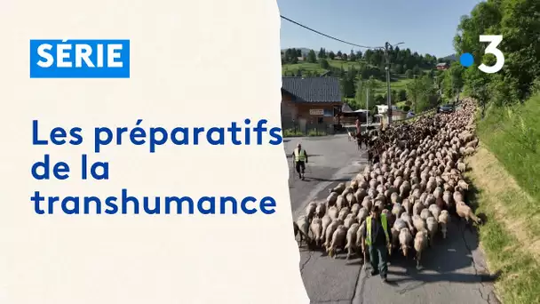 A Caussols, départ d'une transhumance de 120 km