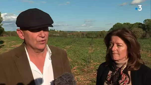 A Béziers, enquête ouverte pour retrouver celui qui a arraché les 200 plants de vignes de Frédéric