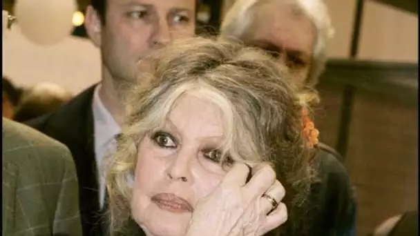 Brigitte Bardot présente ses excuses après avoir crié à l’escroquerie