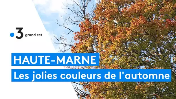 La Haute-Marne se pare des jolies couleurs de l'automne