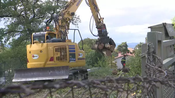 Perpignan : l'abattage de vieux chênes provoque la colère des résidents du quartier de l'université