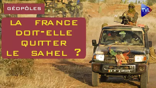 La France doit-elle quitter le Sahel ? - Géopôles n°35 - TVL