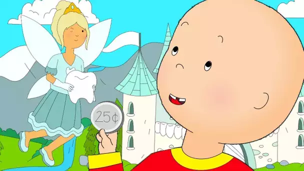 Caillou et la Fée des Dents | Caillou en Français | WildBrain