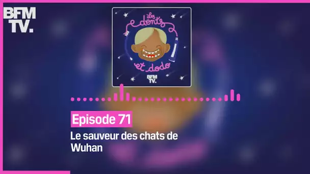 Episode 71 : Le sauveur des chats de Wuhan - Les dents et dodo