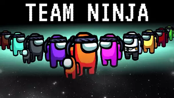 LA TEAM NINJA SE FAIT COMPLETEMENT AVOIR SUR AMONG US !