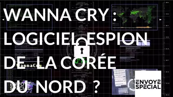 Envoyé Spécial. WannCry un rançon-logiciel de la Corée du Nord ? - 14 décembre 2017 (France 2)