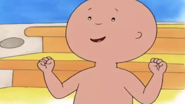 Caillou en francais avec sous-titres - La partie de pêche | dessin animé complet en francais