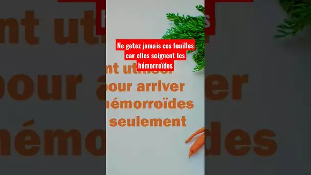 Ne jetez jamais ces feuilles car elles soignent les hémorroïdes