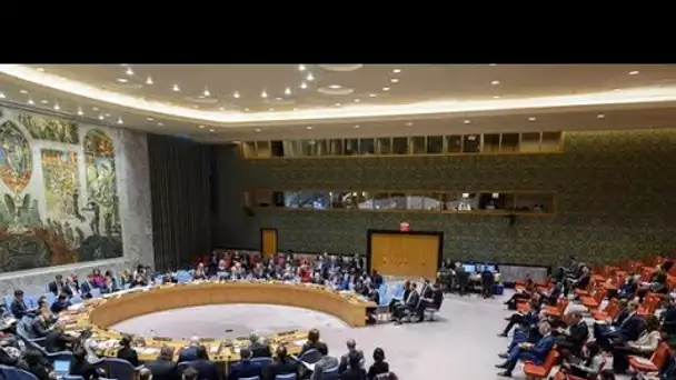 ONU : Vassili Nebenzia s'exprime à la réunion du Conseil de sécurité sur l’autorité du droit