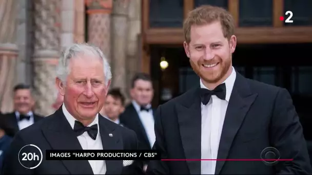 Réactions à l'interview d'Harry et Meghan