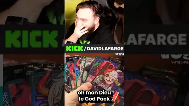 J’AI EU LE GOD PACK À 55 000 EUROS ONE PIECE 6 !