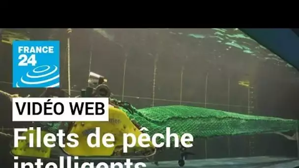 France : des filets de pêche intelligents pour réduire les captures inutiles • FRANCE 24